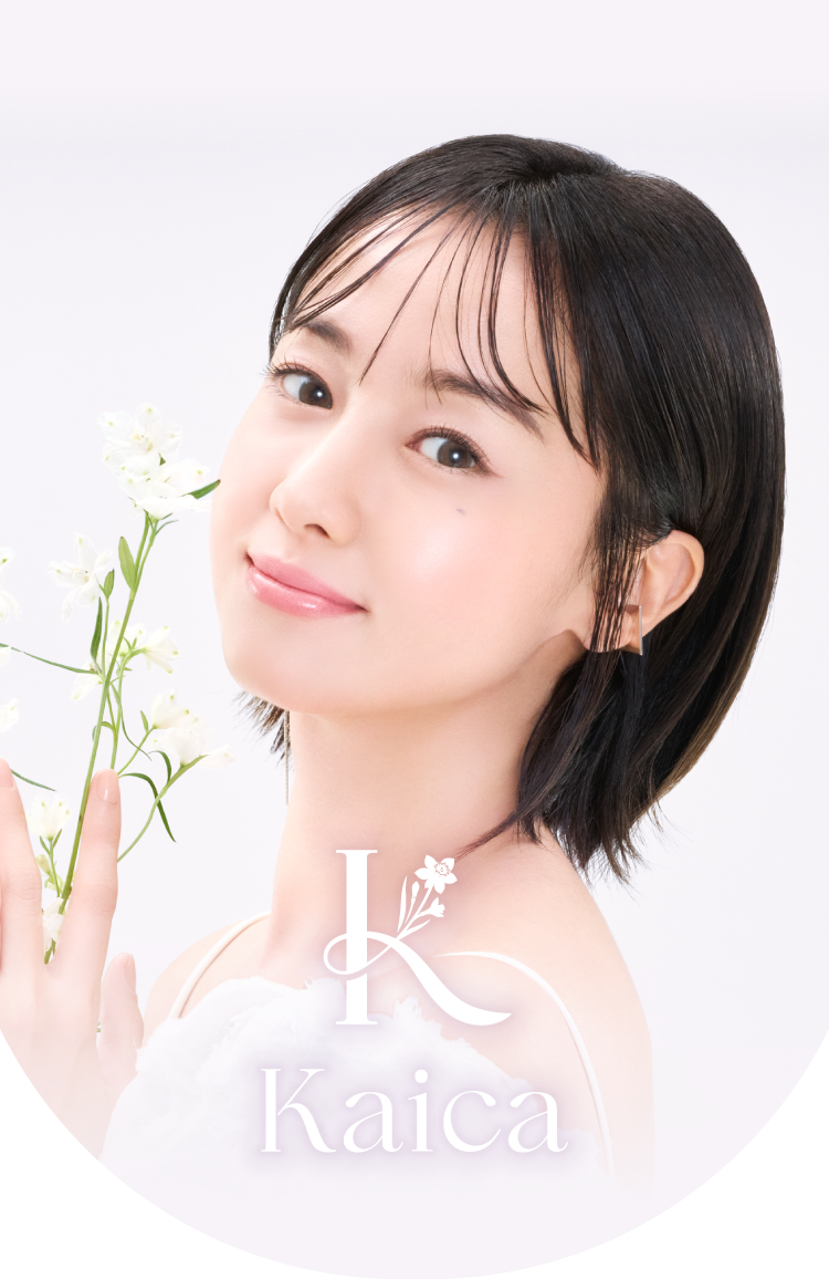 AISEIページです。 株式会社アイセイ | コンタクトレンズ・ケア用品の卸販売