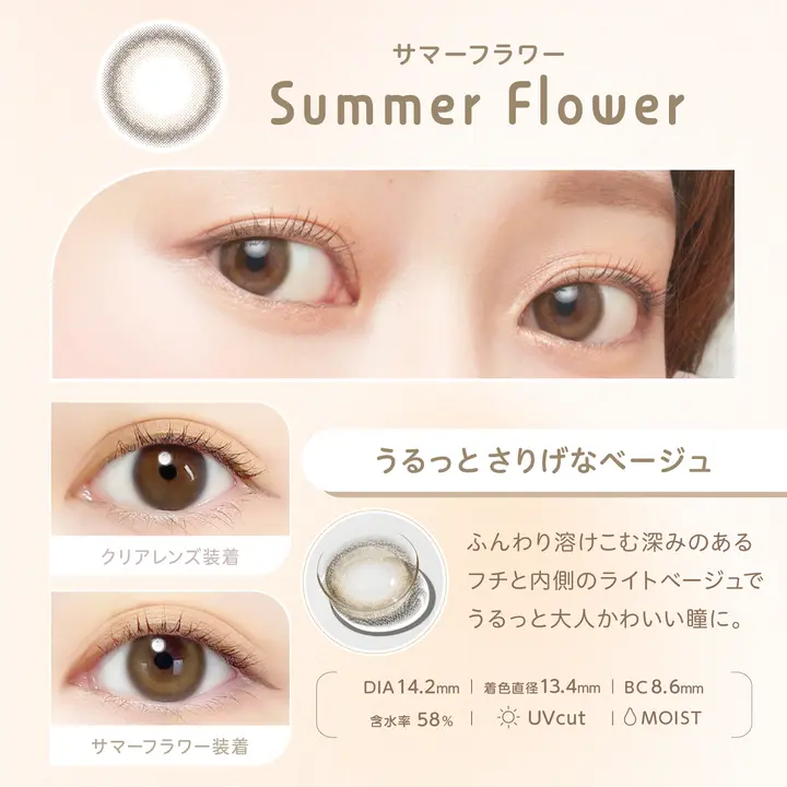 KOIZUMISalonSenseアイボリー未使用に近い超美品最新5年の長期保証 econicori_spec_01_SummerFlower